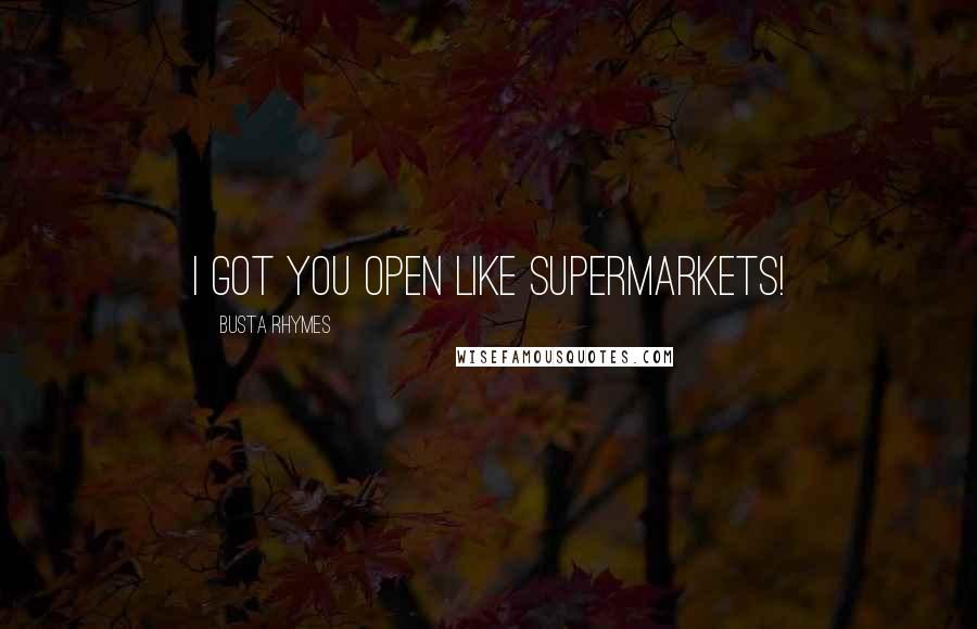 Busta Rhymes Quotes: I got you open like supermarkets!