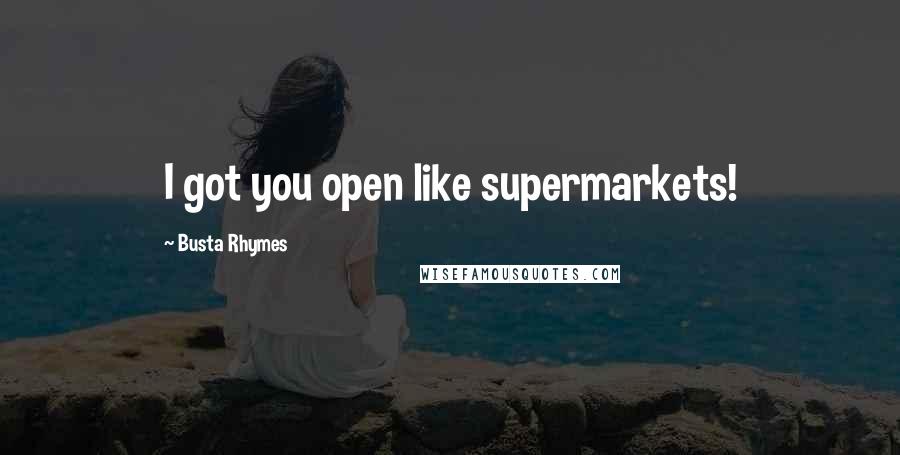 Busta Rhymes Quotes: I got you open like supermarkets!