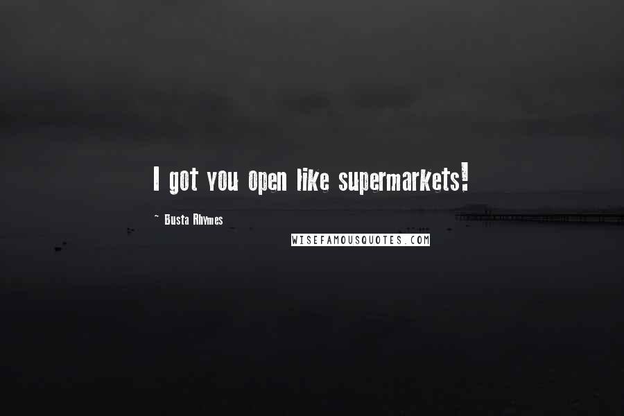 Busta Rhymes Quotes: I got you open like supermarkets!