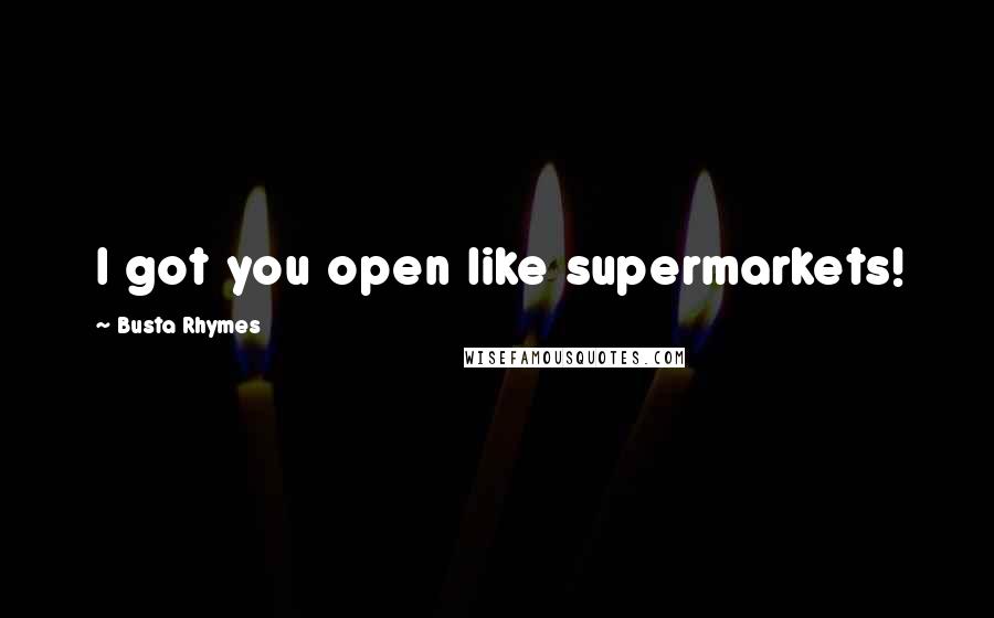 Busta Rhymes Quotes: I got you open like supermarkets!