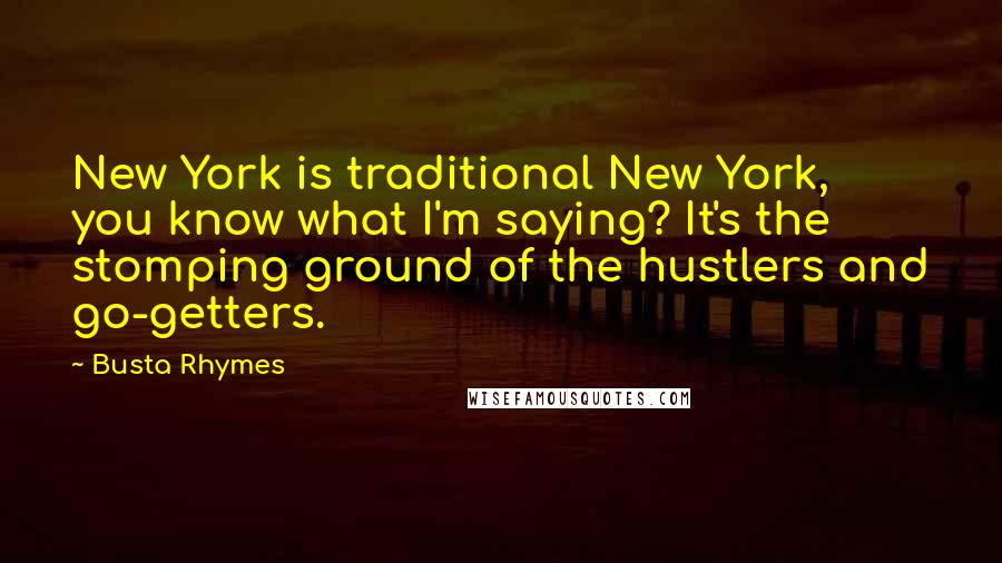 Busta Rhymes Quotes: New York is traditional New York, you know what I'm saying? It's the stomping ground of the hustlers and go-getters.