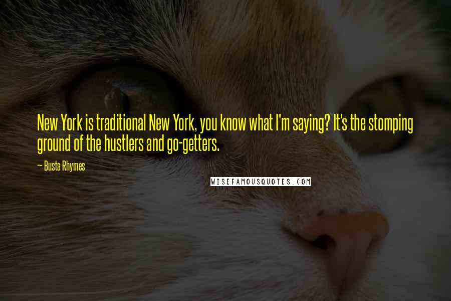 Busta Rhymes Quotes: New York is traditional New York, you know what I'm saying? It's the stomping ground of the hustlers and go-getters.