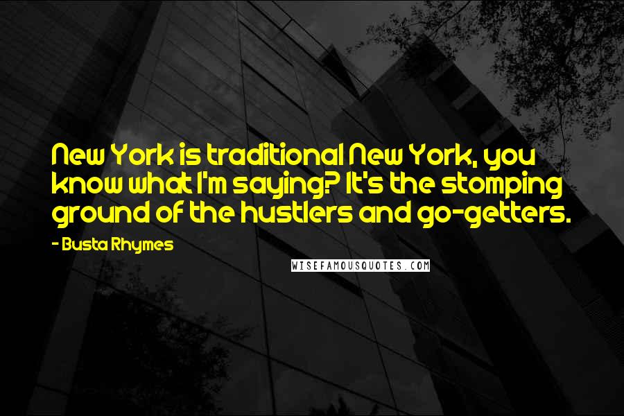 Busta Rhymes Quotes: New York is traditional New York, you know what I'm saying? It's the stomping ground of the hustlers and go-getters.