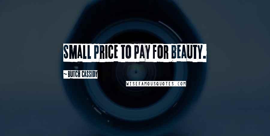 Butch Cassidy Quotes: Small price to pay for beauty.