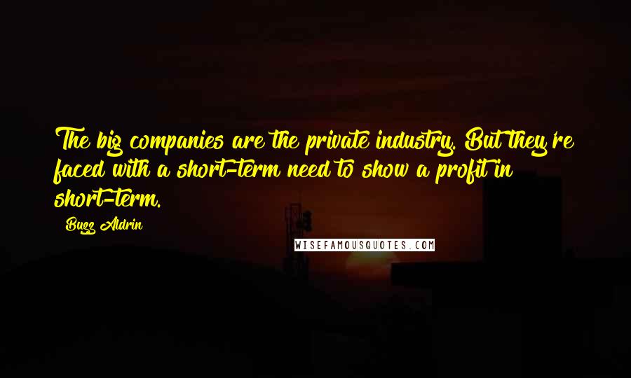 Buzz Aldrin Quotes: The big companies are the private industry. But they're faced with a short-term need to show a profit in short-term.