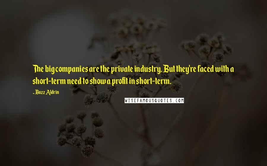 Buzz Aldrin Quotes: The big companies are the private industry. But they're faced with a short-term need to show a profit in short-term.