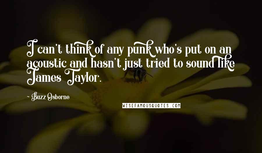 Buzz Osborne Quotes: I can't think of any punk who's put on an acoustic and hasn't just tried to sound like James Taylor.