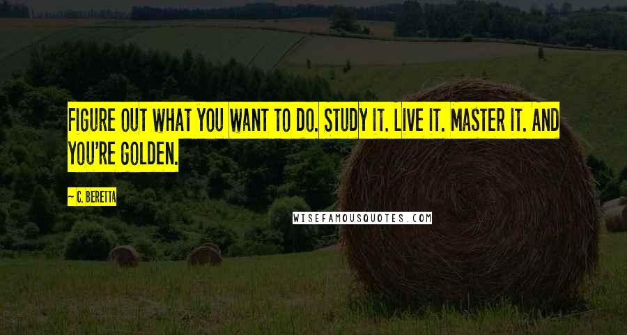 C. Beretta Quotes: Figure out what you want to do. Study it. Live it. Master it. And you're golden.