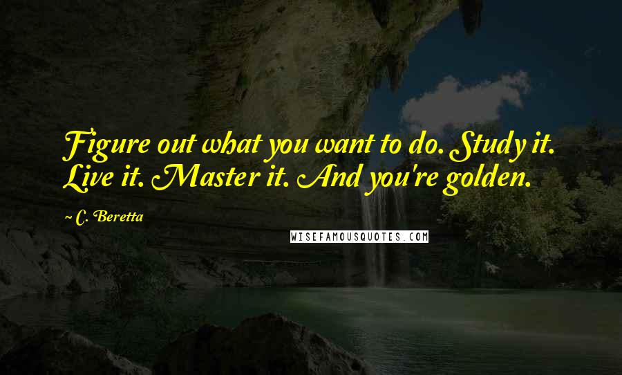 C. Beretta Quotes: Figure out what you want to do. Study it. Live it. Master it. And you're golden.