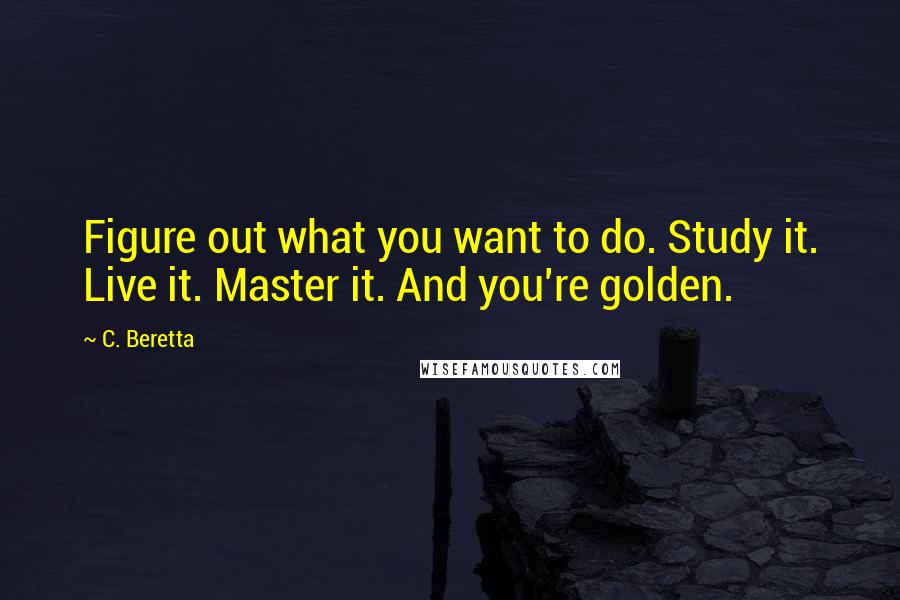 C. Beretta Quotes: Figure out what you want to do. Study it. Live it. Master it. And you're golden.