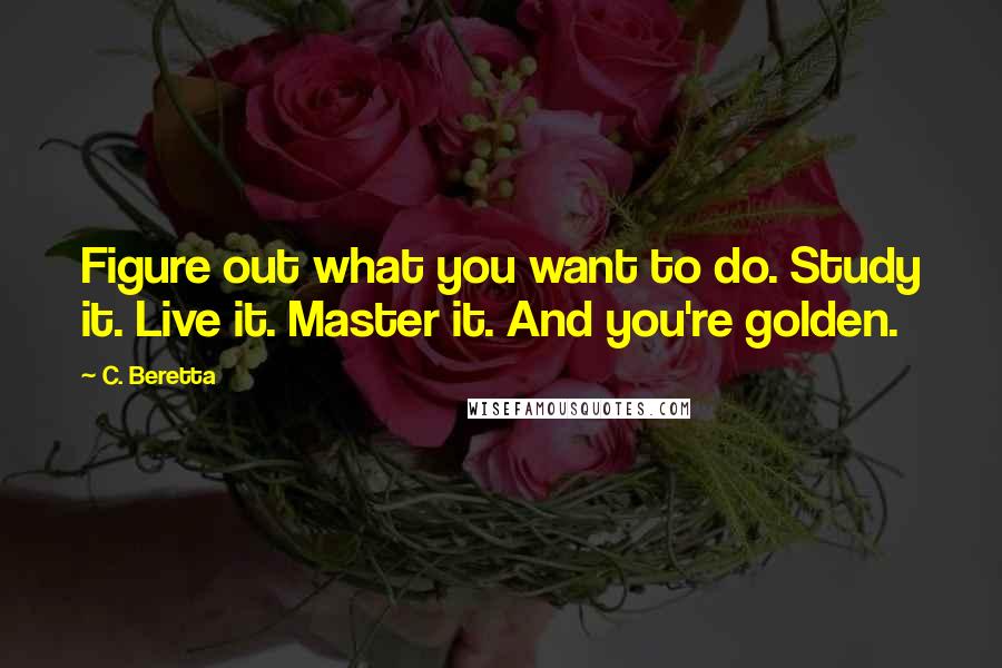 C. Beretta Quotes: Figure out what you want to do. Study it. Live it. Master it. And you're golden.