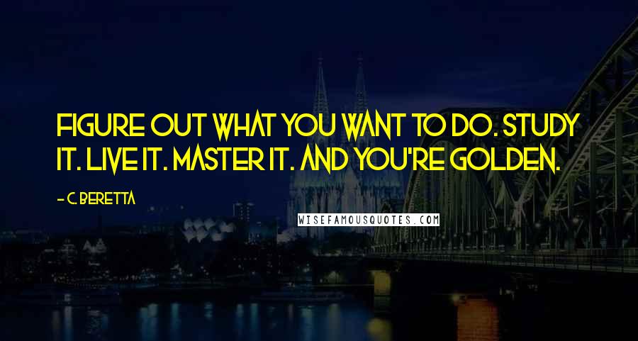 C. Beretta Quotes: Figure out what you want to do. Study it. Live it. Master it. And you're golden.