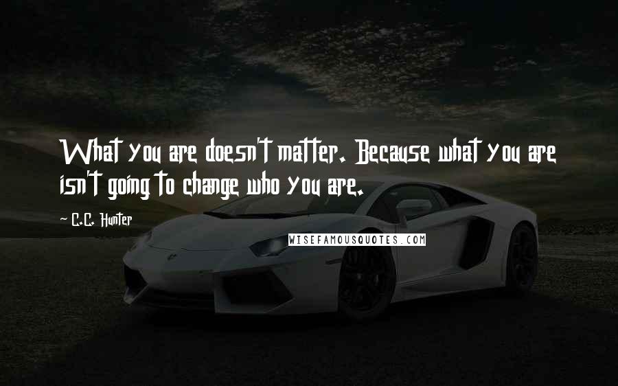 C.C. Hunter Quotes: What you are doesn't matter. Because what you are isn't going to change who you are.