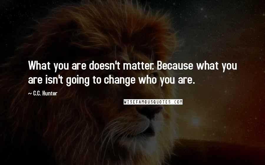 C.C. Hunter Quotes: What you are doesn't matter. Because what you are isn't going to change who you are.