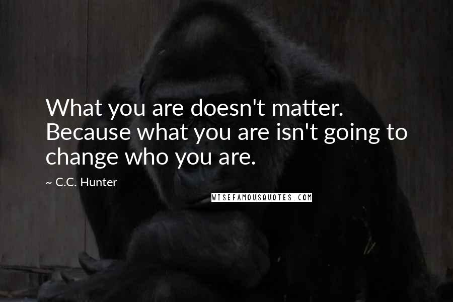 C.C. Hunter Quotes: What you are doesn't matter. Because what you are isn't going to change who you are.