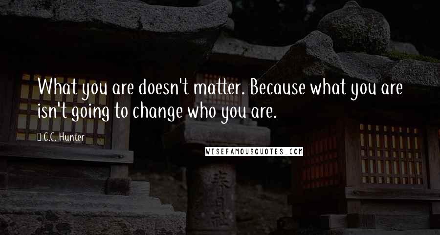 C.C. Hunter Quotes: What you are doesn't matter. Because what you are isn't going to change who you are.