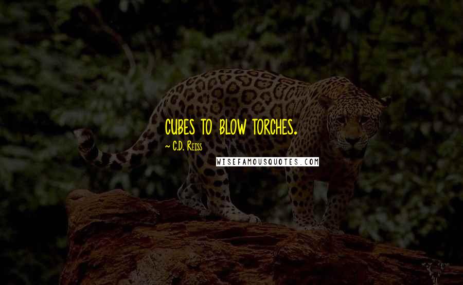 C.D. Reiss Quotes: cubes to blow torches.