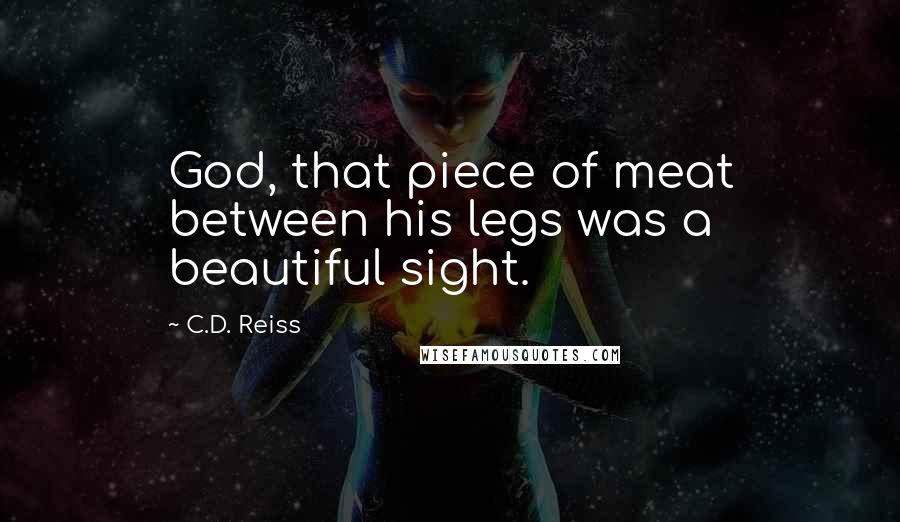 C.D. Reiss Quotes: God, that piece of meat between his legs was a beautiful sight.