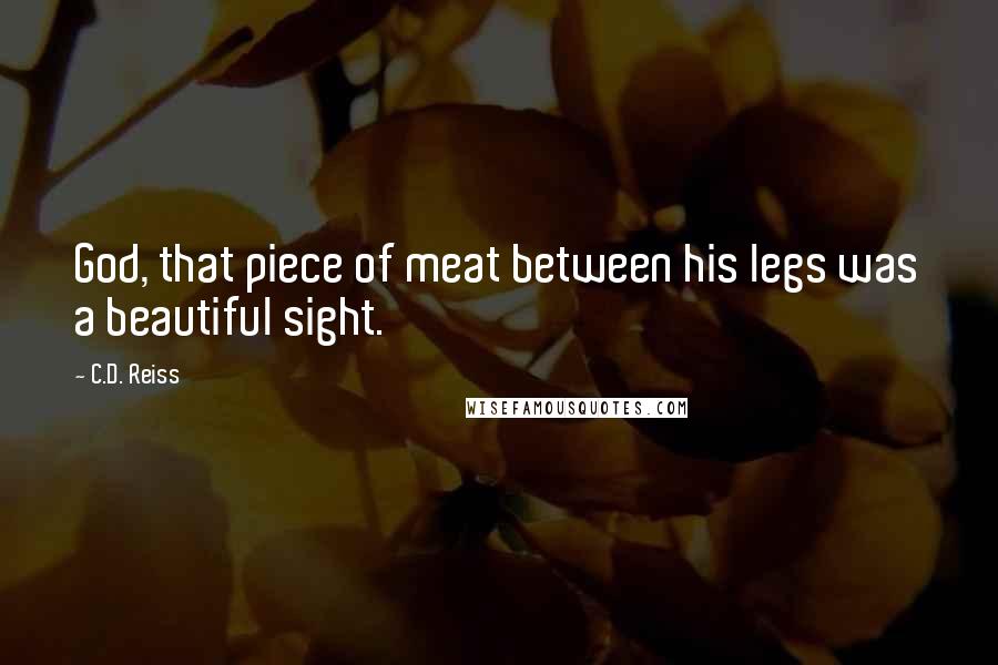 C.D. Reiss Quotes: God, that piece of meat between his legs was a beautiful sight.