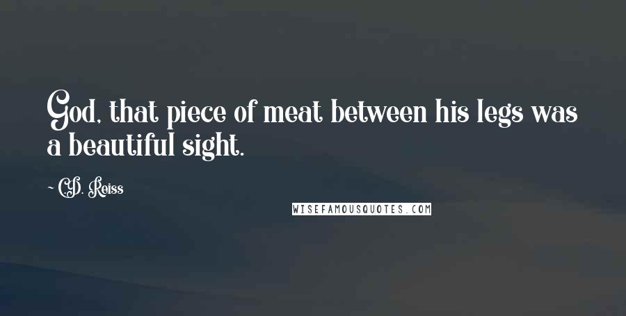 C.D. Reiss Quotes: God, that piece of meat between his legs was a beautiful sight.