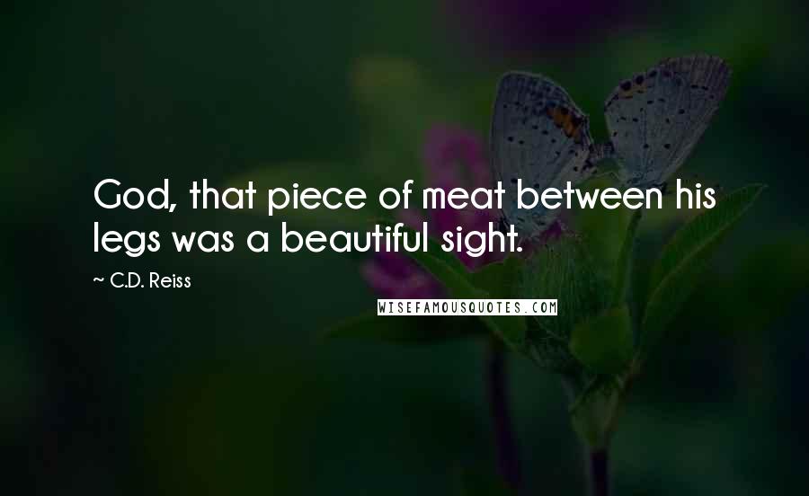 C.D. Reiss Quotes: God, that piece of meat between his legs was a beautiful sight.