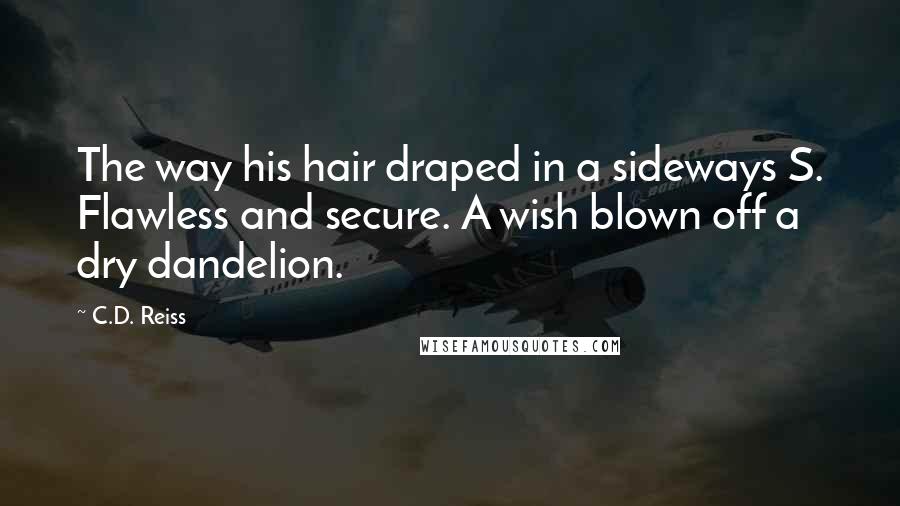 C.D. Reiss Quotes: The way his hair draped in a sideways S. Flawless and secure. A wish blown off a dry dandelion.