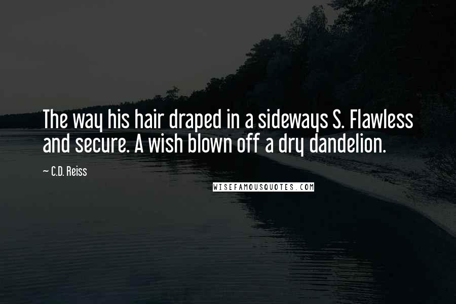 C.D. Reiss Quotes: The way his hair draped in a sideways S. Flawless and secure. A wish blown off a dry dandelion.