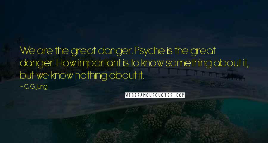 C. G. Jung Quotes: We are the great danger. Psyche is the great danger. How important is to know something about it, but we know nothing about it.