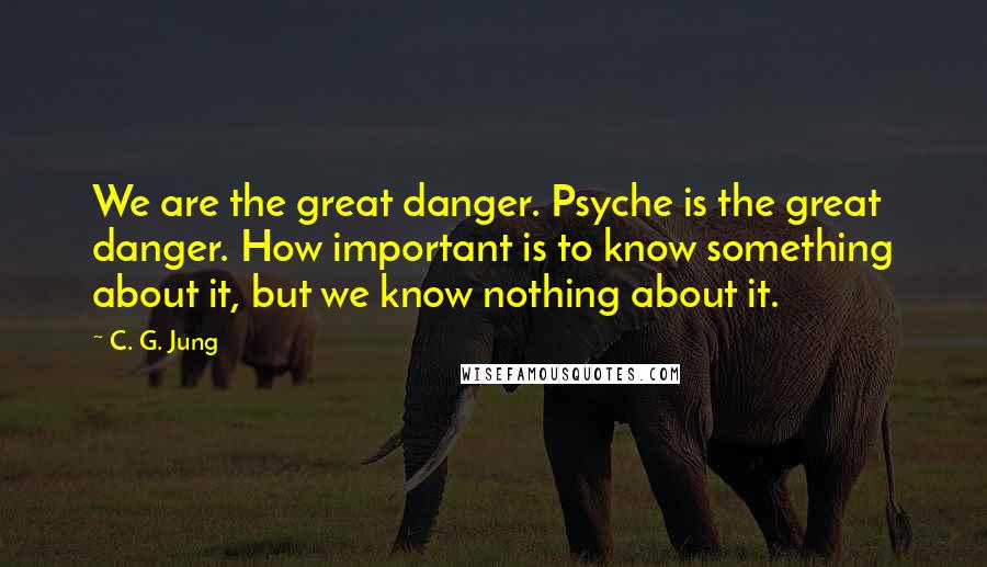 C. G. Jung Quotes: We are the great danger. Psyche is the great danger. How important is to know something about it, but we know nothing about it.