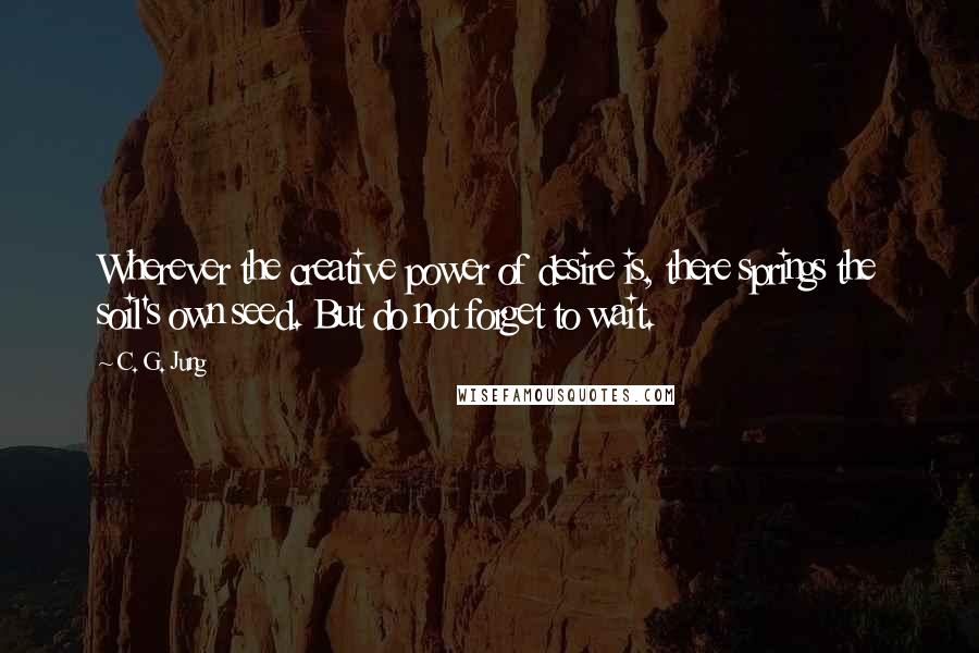 C. G. Jung Quotes: Wherever the creative power of desire is, there springs the soil's own seed. But do not forget to wait.