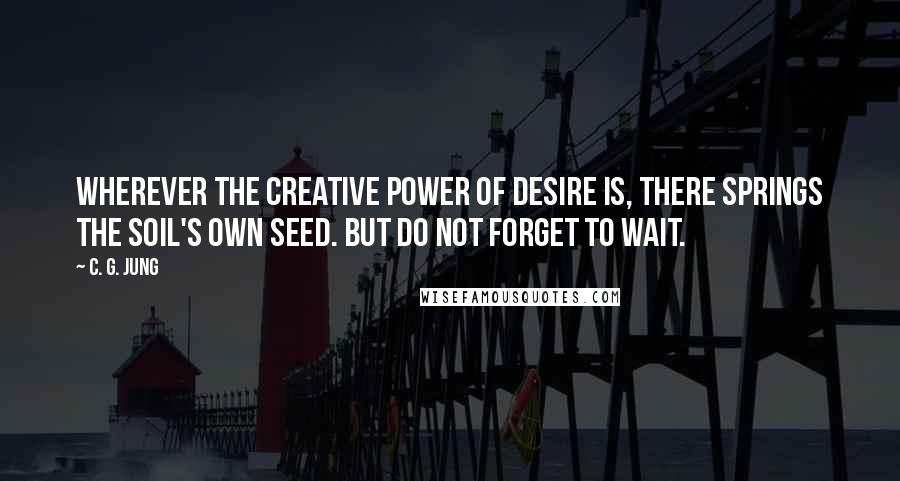 C. G. Jung Quotes: Wherever the creative power of desire is, there springs the soil's own seed. But do not forget to wait.