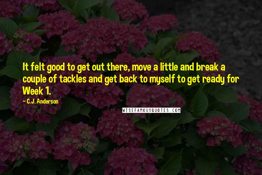 C.J. Anderson Quotes: It felt good to get out there, move a little and break a couple of tackles and get back to myself to get ready for Week 1.