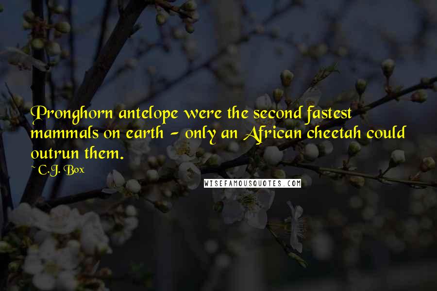 C.J. Box Quotes: Pronghorn antelope were the second fastest mammals on earth - only an African cheetah could outrun them.