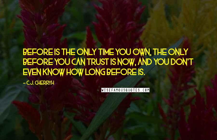 C.J. Cherryh Quotes: Before is the only time you own, the only before you can trust is now, and you don't even know how long before is.