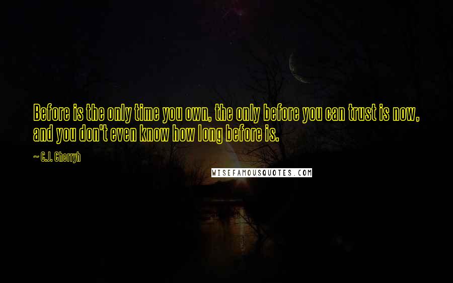 C.J. Cherryh Quotes: Before is the only time you own, the only before you can trust is now, and you don't even know how long before is.