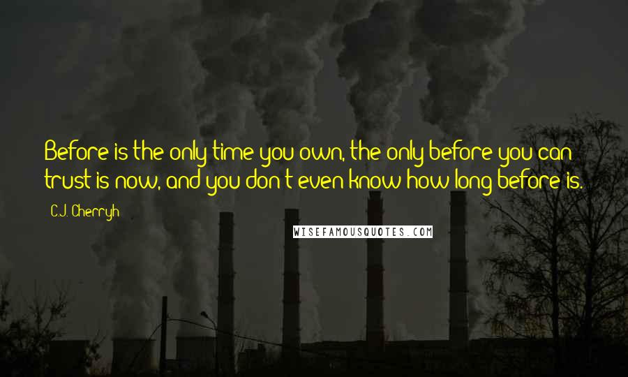 C.J. Cherryh Quotes: Before is the only time you own, the only before you can trust is now, and you don't even know how long before is.