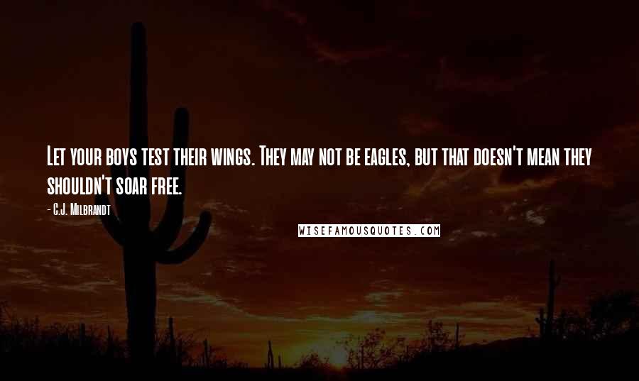 C.J. Milbrandt Quotes: Let your boys test their wings. They may not be eagles, but that doesn't mean they shouldn't soar free.