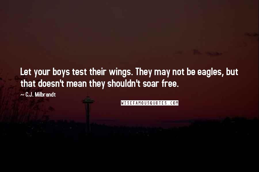 C.J. Milbrandt Quotes: Let your boys test their wings. They may not be eagles, but that doesn't mean they shouldn't soar free.