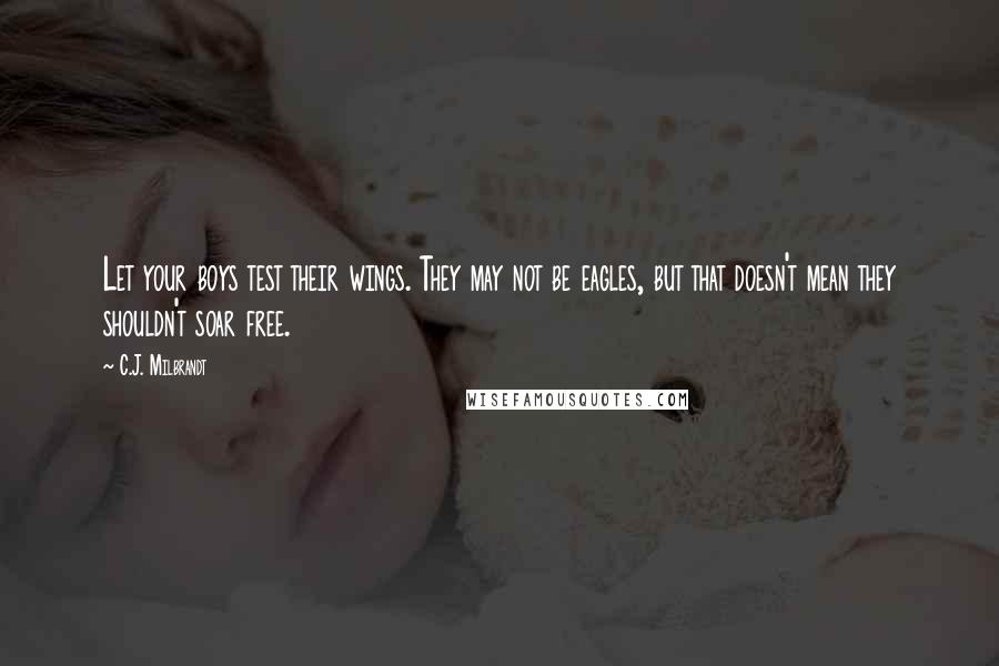 C.J. Milbrandt Quotes: Let your boys test their wings. They may not be eagles, but that doesn't mean they shouldn't soar free.