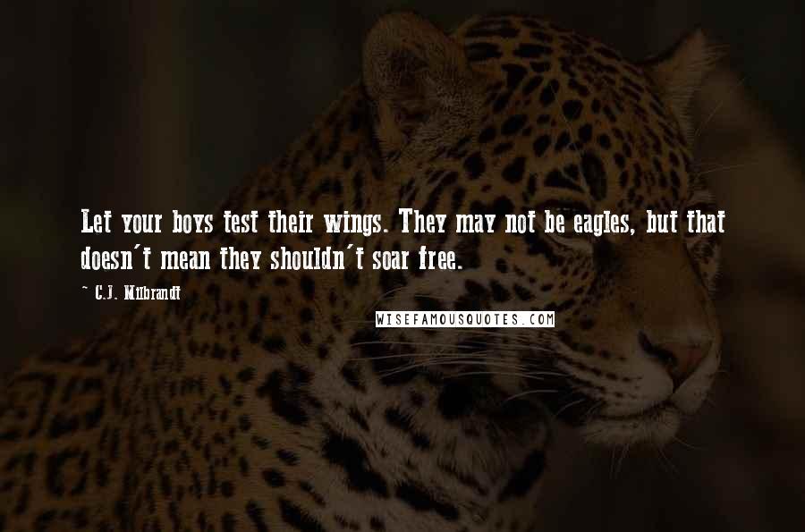 C.J. Milbrandt Quotes: Let your boys test their wings. They may not be eagles, but that doesn't mean they shouldn't soar free.