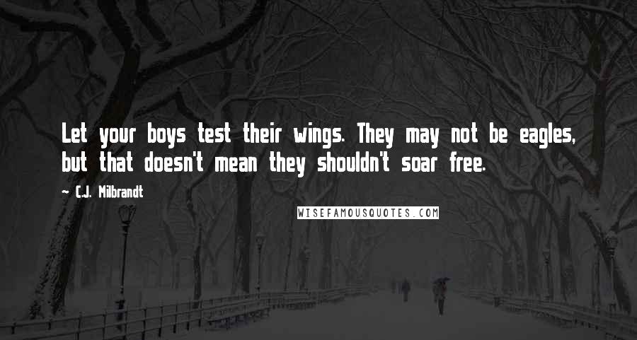 C.J. Milbrandt Quotes: Let your boys test their wings. They may not be eagles, but that doesn't mean they shouldn't soar free.