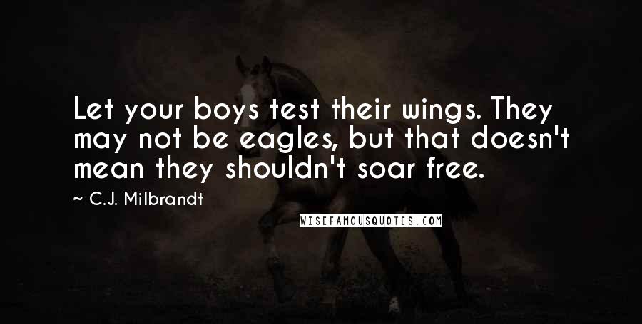 C.J. Milbrandt Quotes: Let your boys test their wings. They may not be eagles, but that doesn't mean they shouldn't soar free.