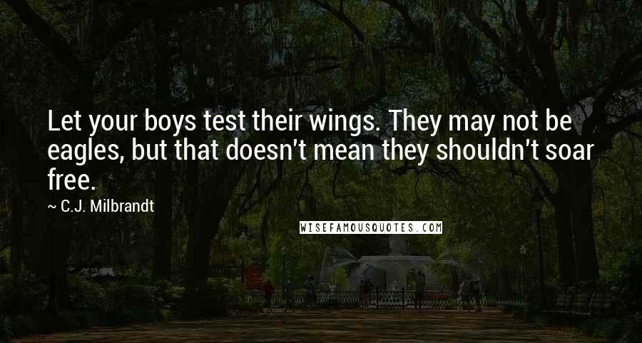 C.J. Milbrandt Quotes: Let your boys test their wings. They may not be eagles, but that doesn't mean they shouldn't soar free.