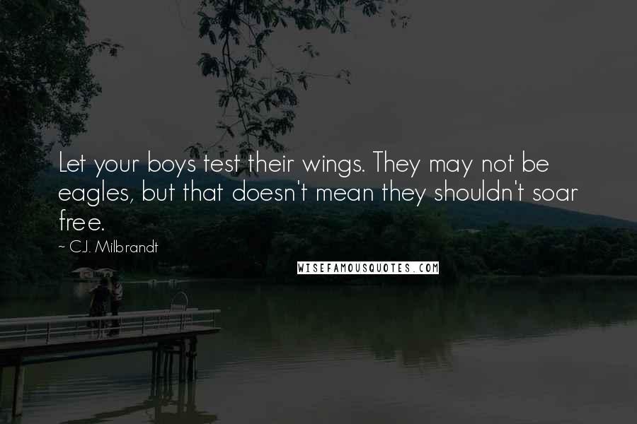 C.J. Milbrandt Quotes: Let your boys test their wings. They may not be eagles, but that doesn't mean they shouldn't soar free.