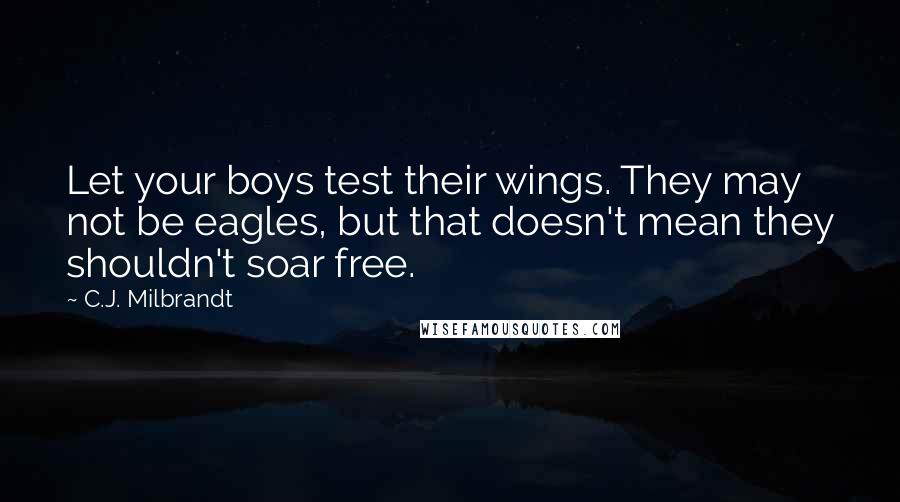 C.J. Milbrandt Quotes: Let your boys test their wings. They may not be eagles, but that doesn't mean they shouldn't soar free.