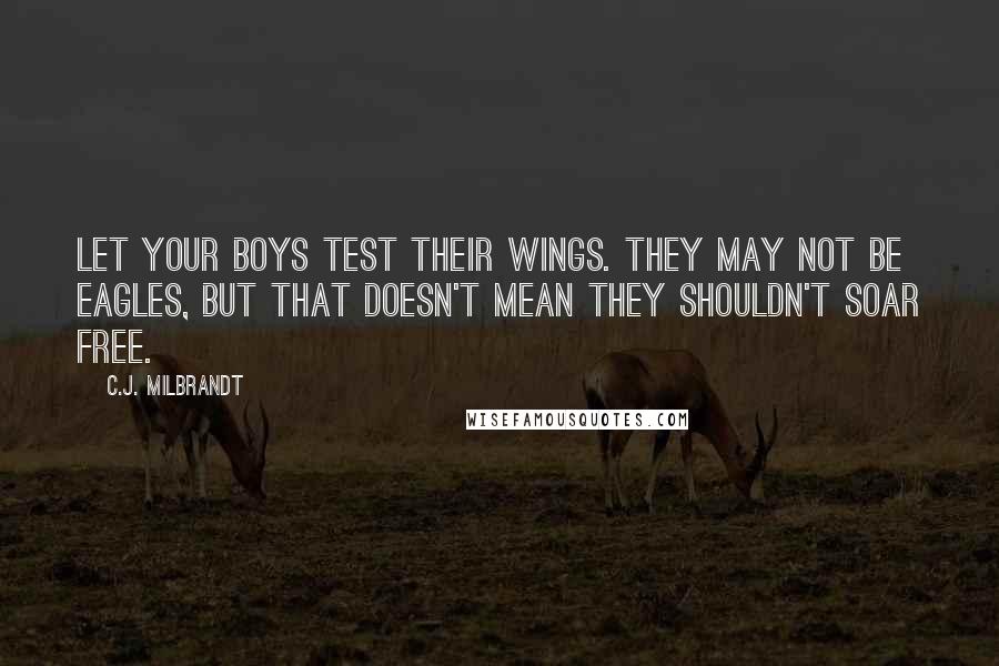 C.J. Milbrandt Quotes: Let your boys test their wings. They may not be eagles, but that doesn't mean they shouldn't soar free.