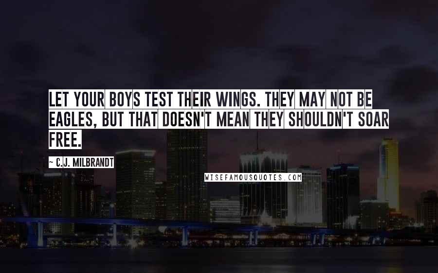 C.J. Milbrandt Quotes: Let your boys test their wings. They may not be eagles, but that doesn't mean they shouldn't soar free.