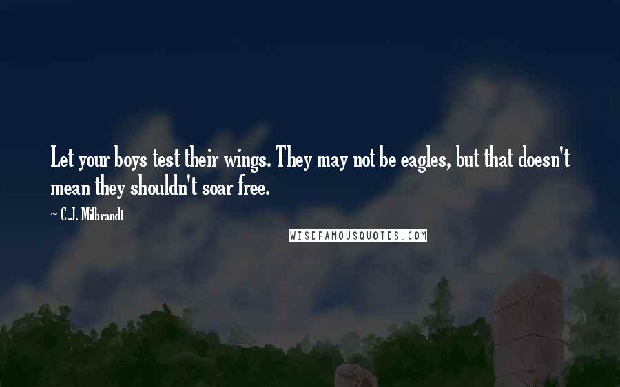 C.J. Milbrandt Quotes: Let your boys test their wings. They may not be eagles, but that doesn't mean they shouldn't soar free.