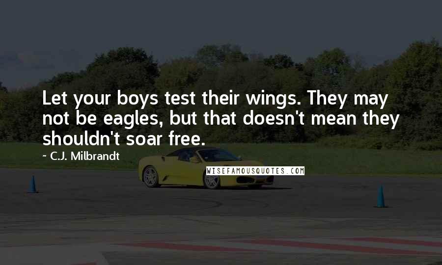 C.J. Milbrandt Quotes: Let your boys test their wings. They may not be eagles, but that doesn't mean they shouldn't soar free.