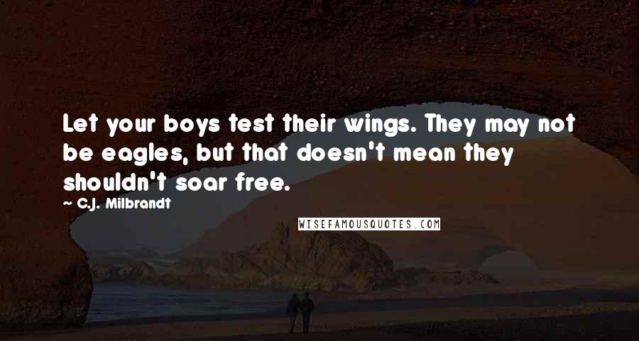 C.J. Milbrandt Quotes: Let your boys test their wings. They may not be eagles, but that doesn't mean they shouldn't soar free.